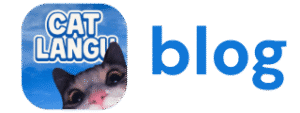 Catlangu Blog